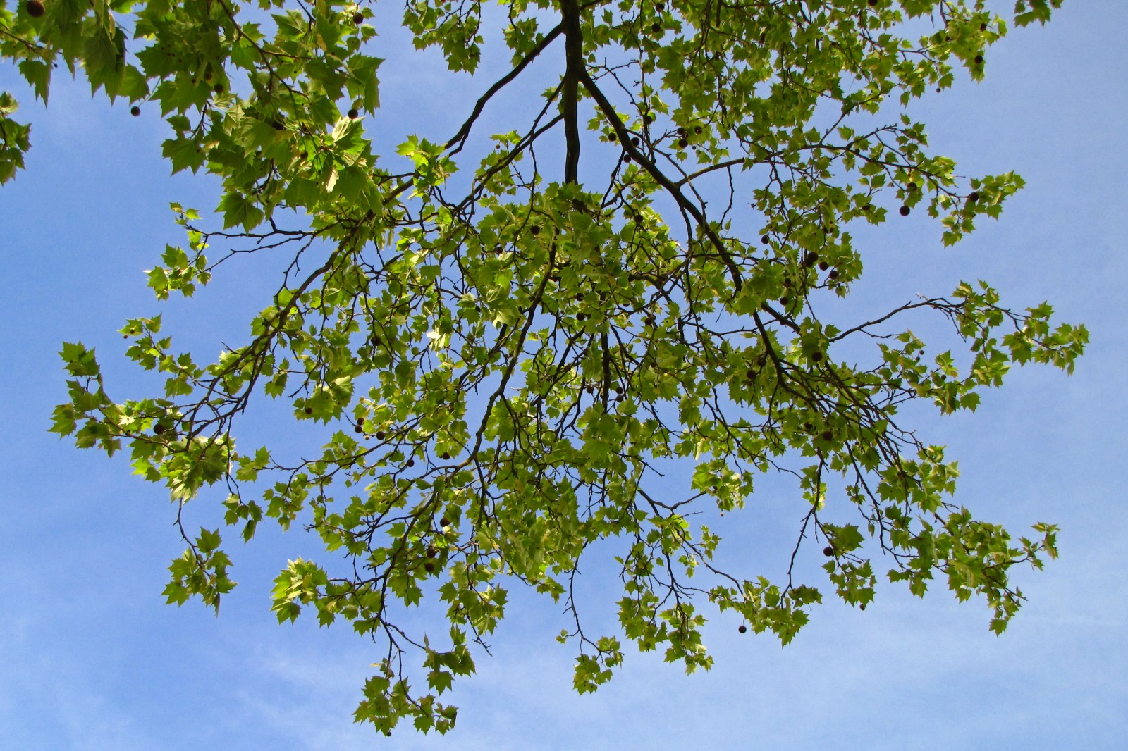 150511parkinglot2.jpg