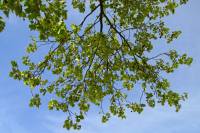 150511parkinglot2.jpg