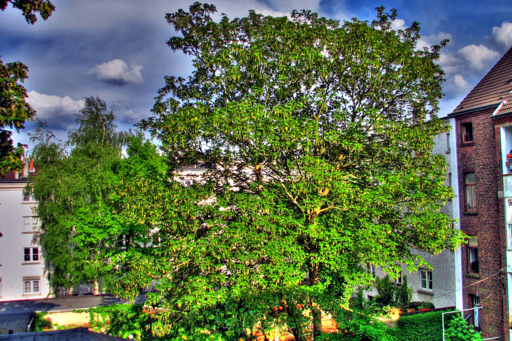 HDR
