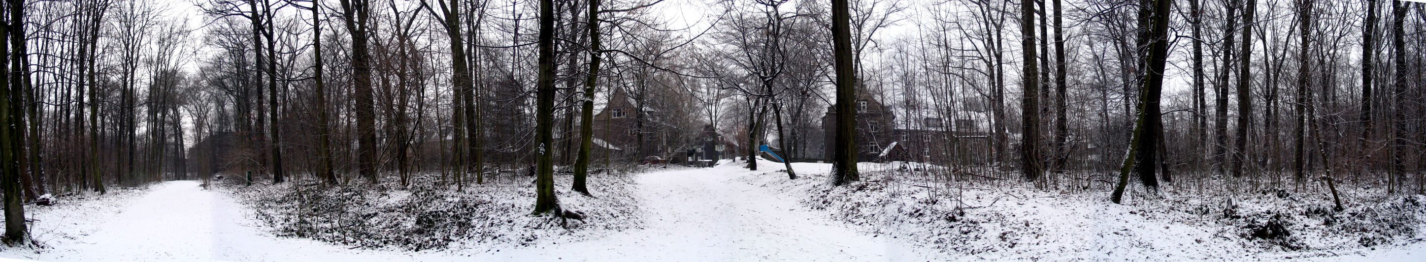 pan-schnee09-050127.jpg