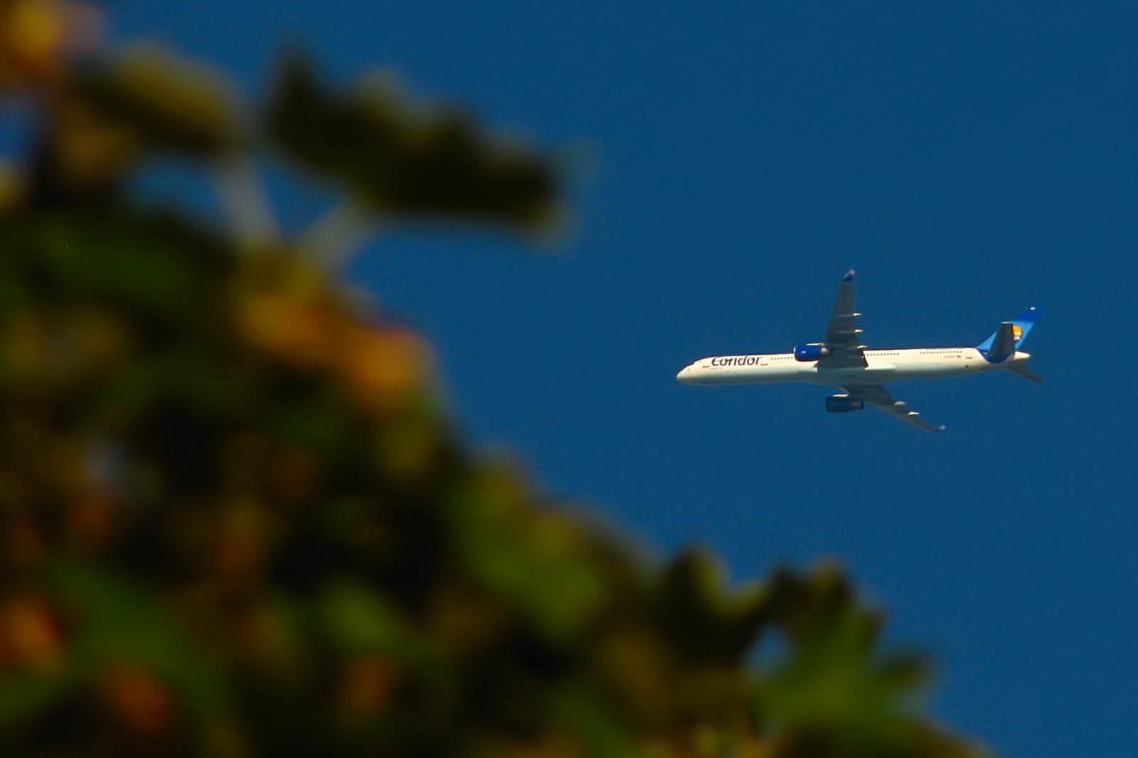 130904planespotting.jpg