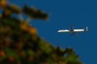 130904planespotting.jpg