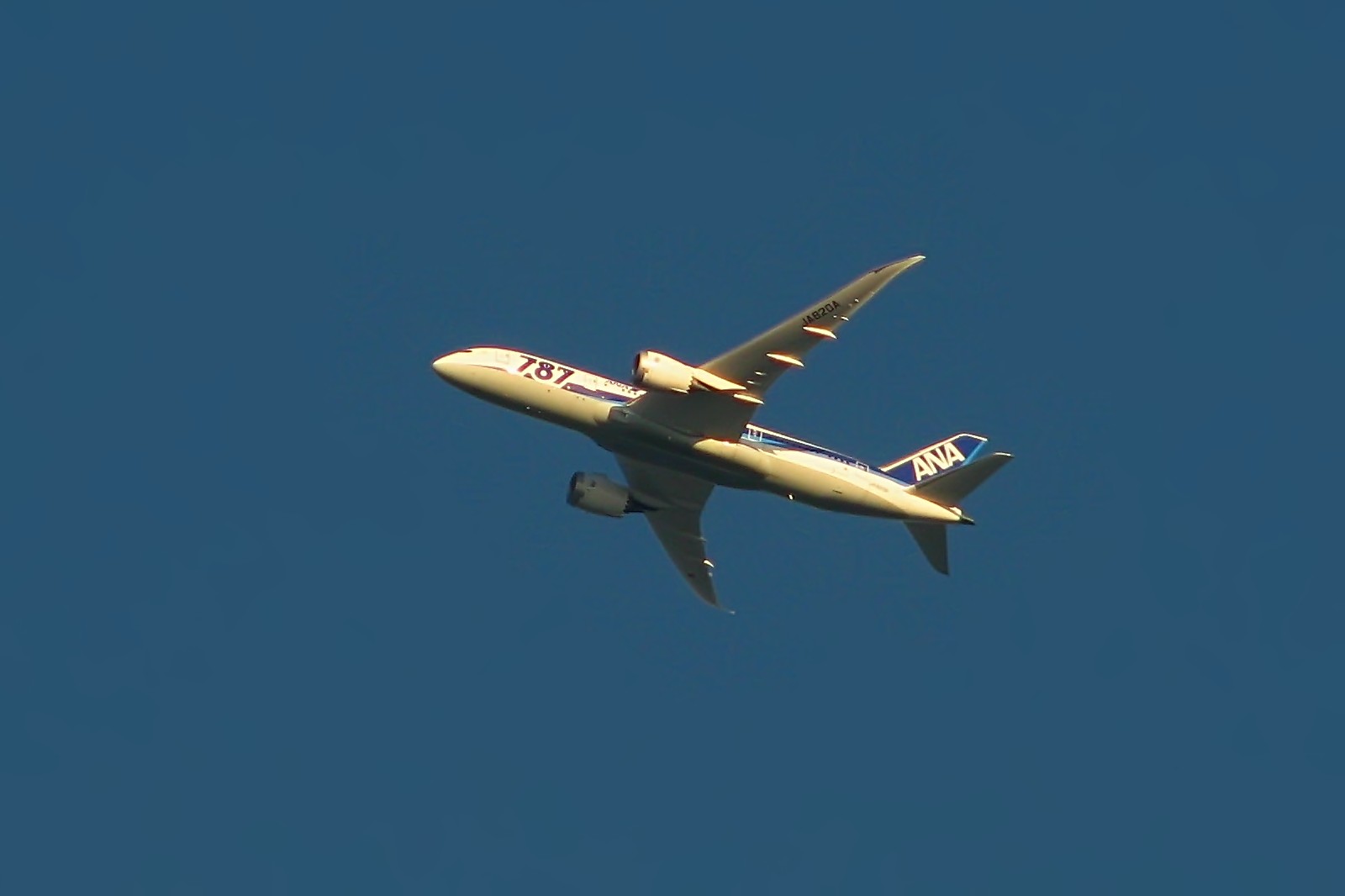 140420dreamliner.jpg
