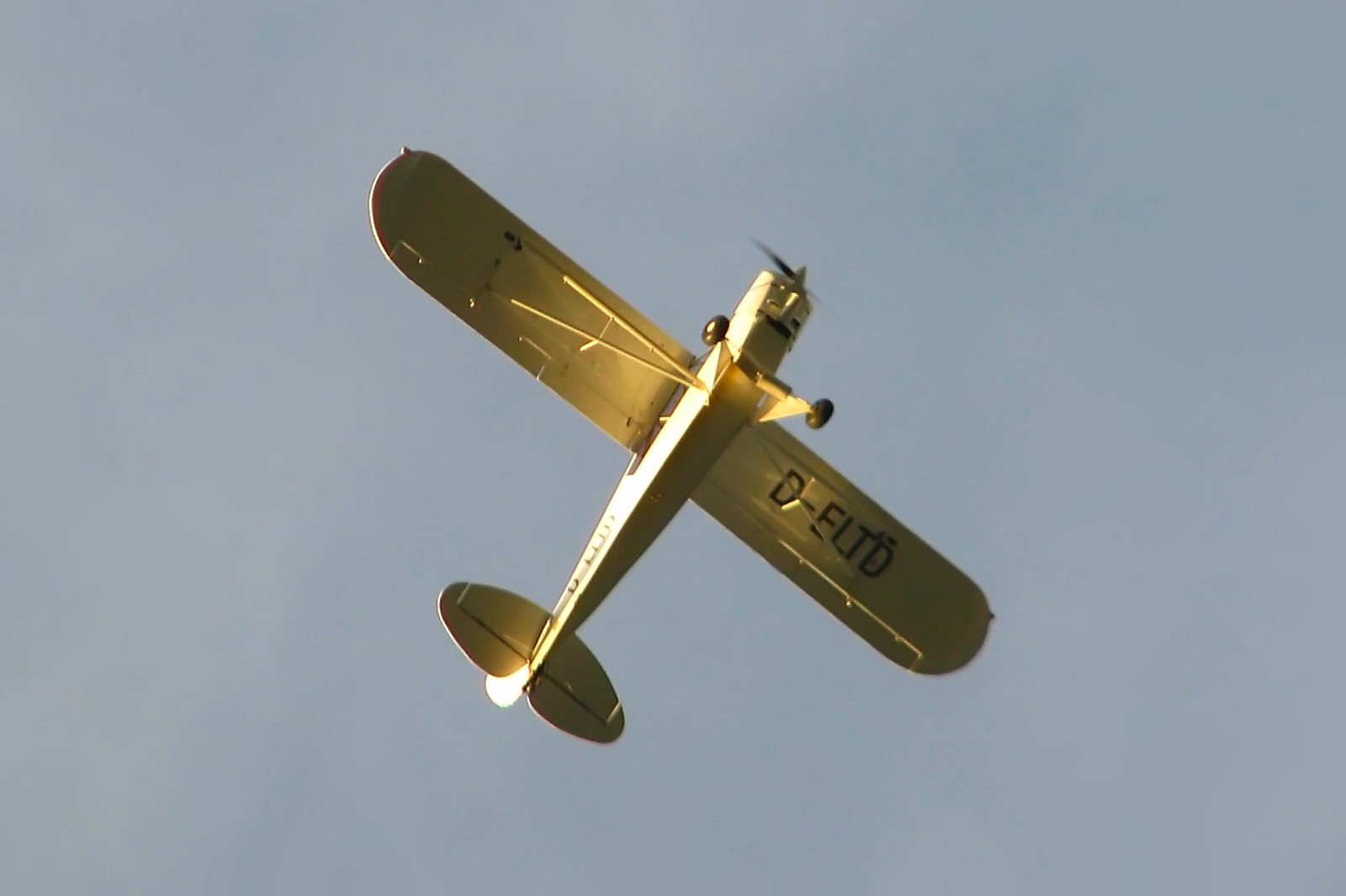 140928pipercub1.jpg
