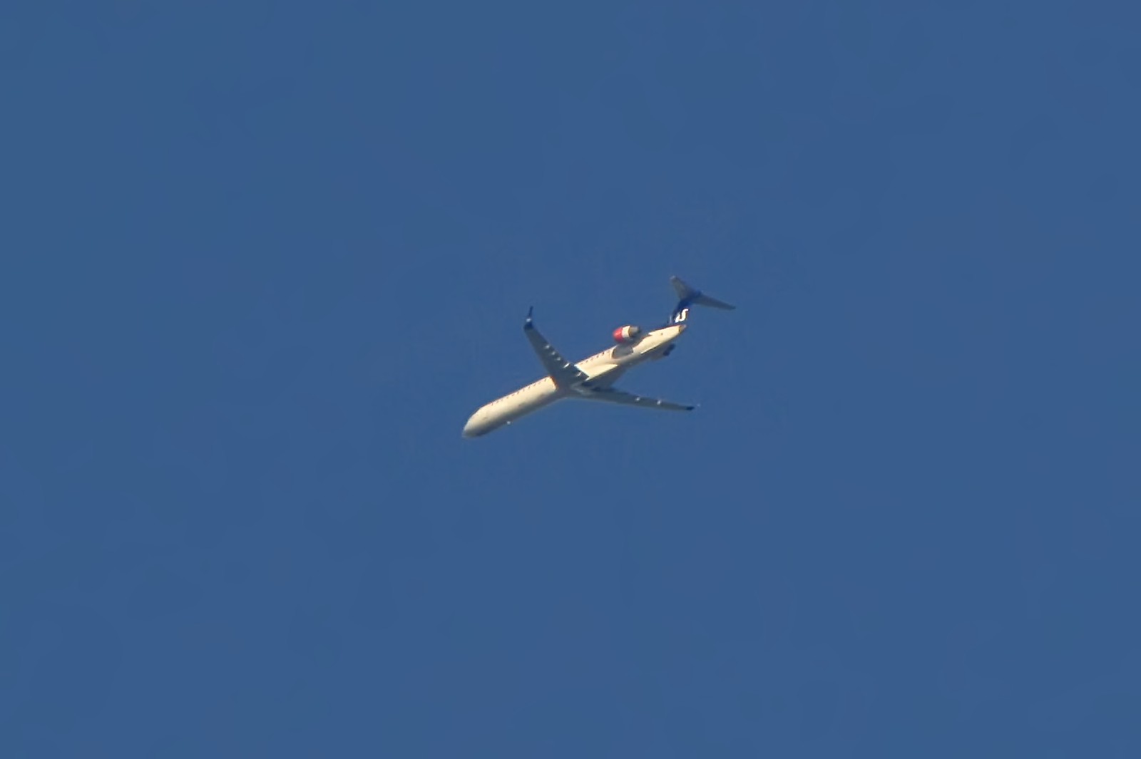 150211sas.jpg