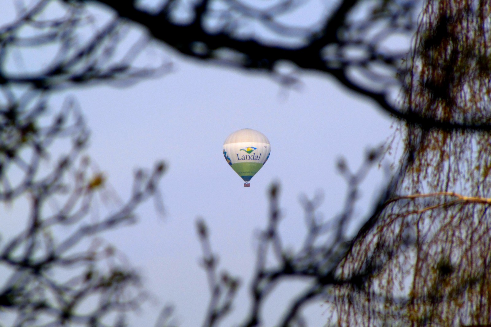 150413balloon03.jpg