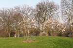 Filename=ruhr070313-008pan.mov
Filesize=565KiB
Dimensions=640x423
Date added=Mar 23, 2007 ruhr070313-008pan.mov