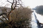 Filename=ruhr070313-013pan.mov
Filesize=404KiB
Dimensions=640x423
Date added=Mar 23, 2007 ruhr070313-013pan.mov
