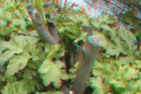 3D Rot/Cyan Anaglyph