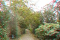 3D Rot/Cyan-Anaglyph