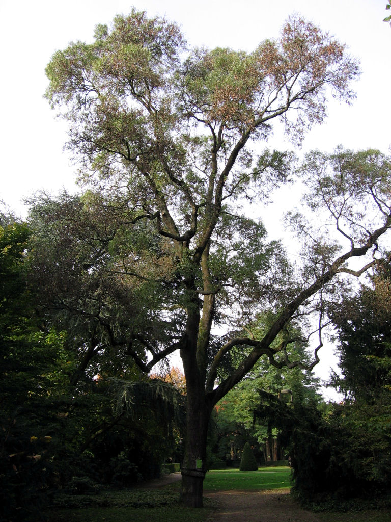 ruhr081013-26.jpg