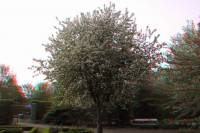 ruhr090415-020-3D.JPG