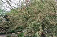 ruhr090415-024.jpg