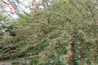 ruhr090415-025-3d.JPG
