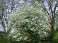 ruhr090415-027-3d.JPG
