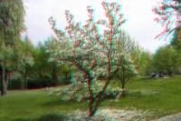 ruhr090415-034-3d.JPG
