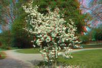ruhr090415-041-3d.JPG