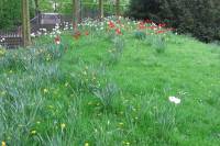 ruhr090415-056.jpg