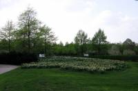 ruhr090415-061.jpg