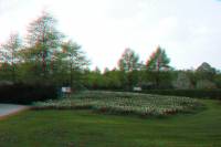ruhr090415-062-3d.JPG