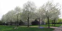 ruhr090415-065pan.jpg