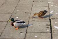 ruhr090415-068.jpg