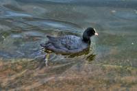 ruhr090512-2-011.jpg