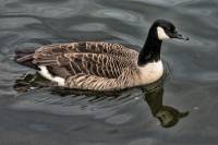 ruhr090512-2-012.jpg