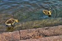 ruhr090512-2-023.jpg