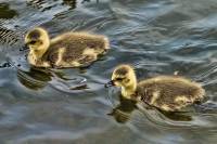 ruhr090512-2-024a.jpg
