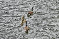 ruhr090512-2-034.jpg