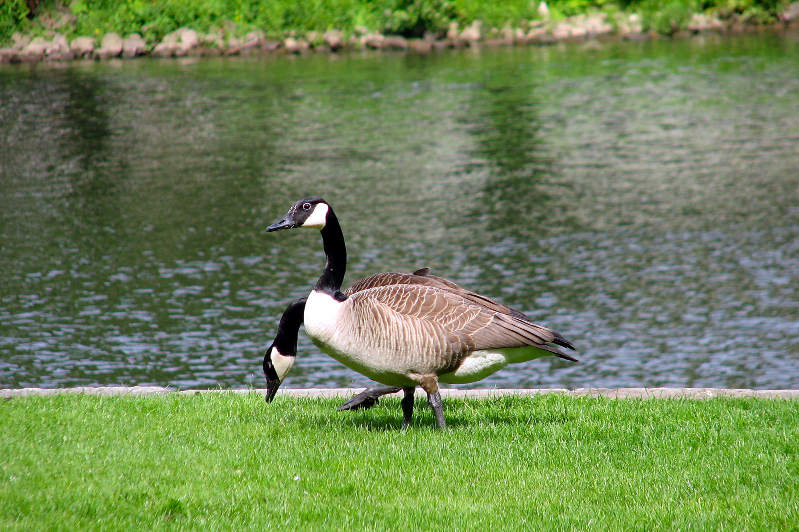 ruhr090512-2-003.jpg