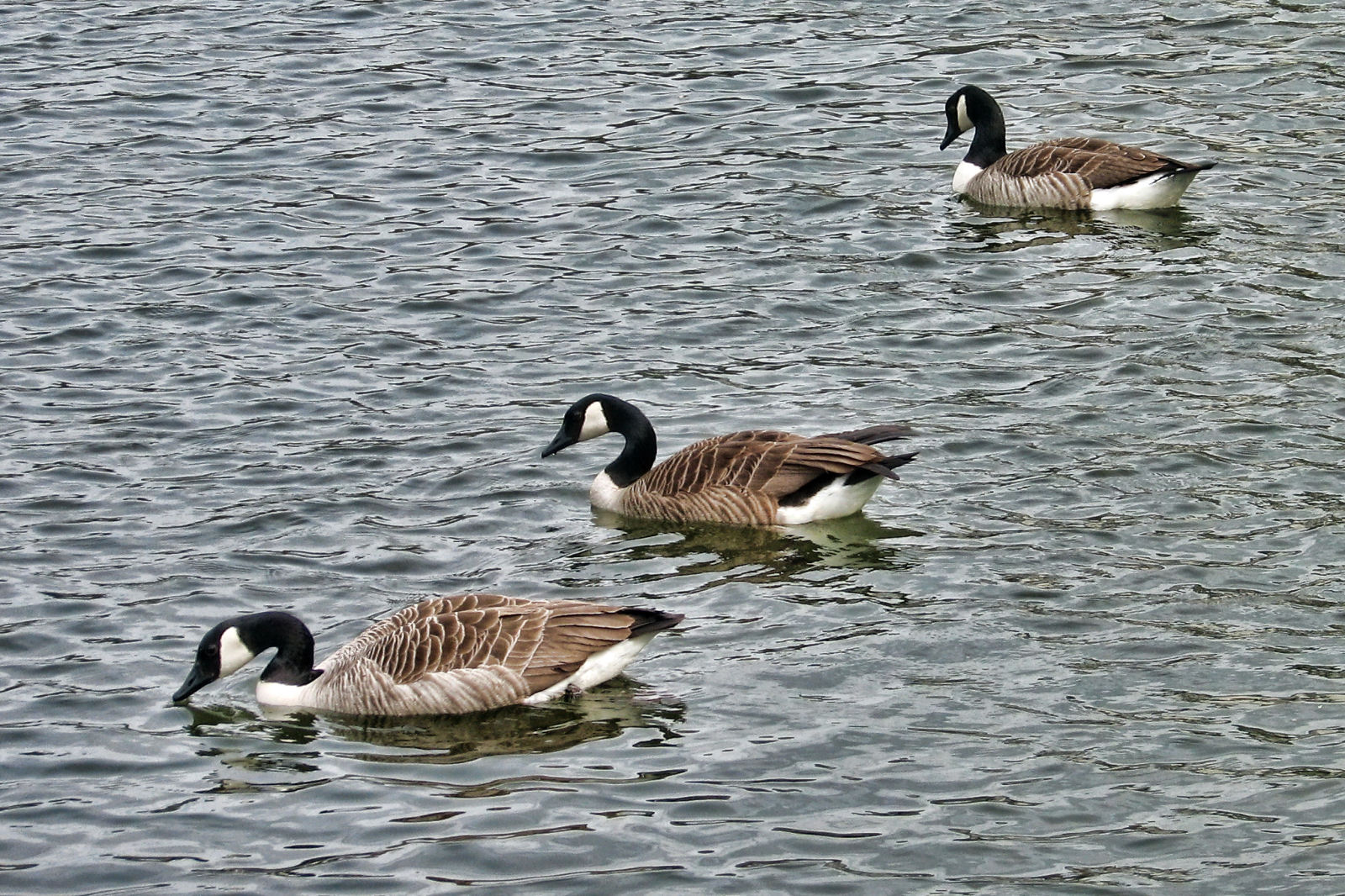 ruhr090512-2-010.jpg