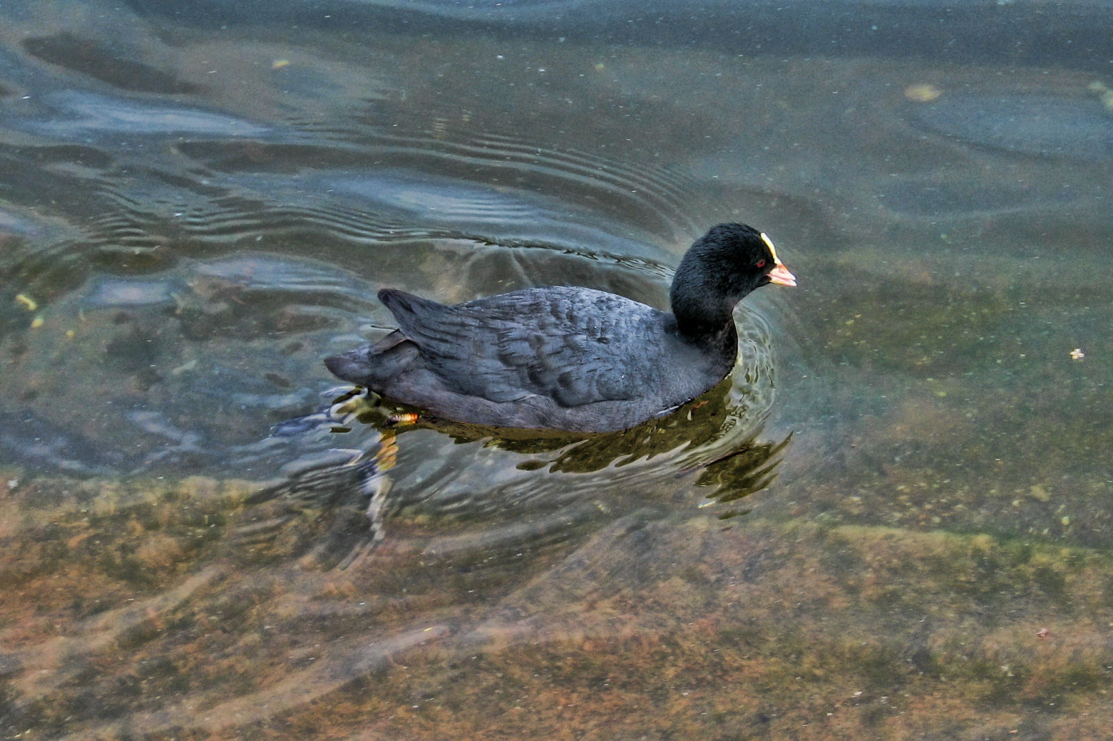 ruhr090512-2-011.jpg