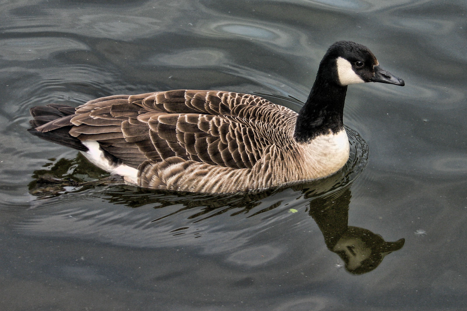 ruhr090512-2-012.jpg