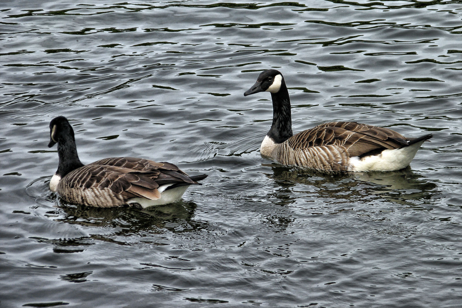 ruhr090512-2-013.jpg