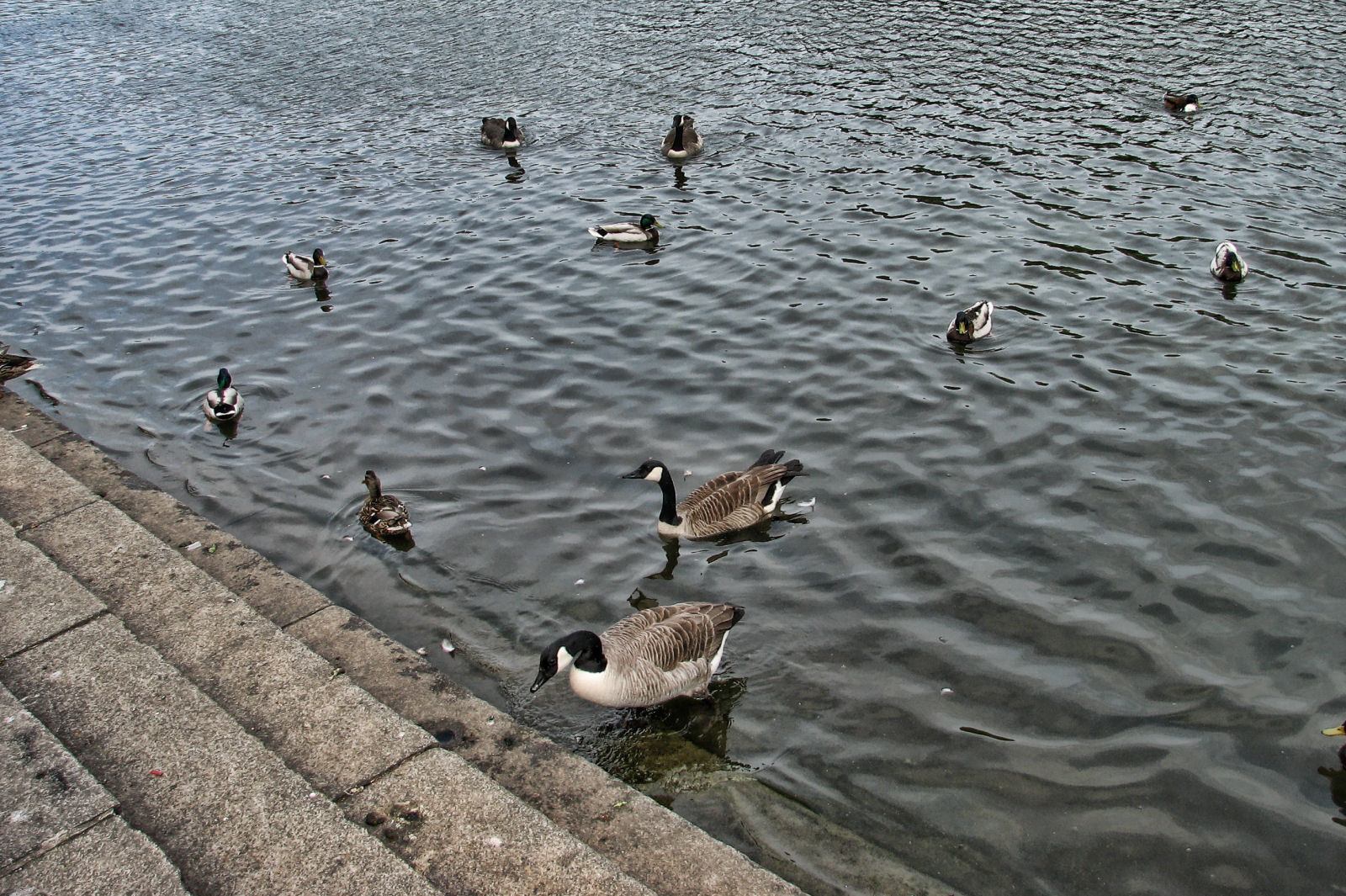 ruhr090512-2-014.jpg