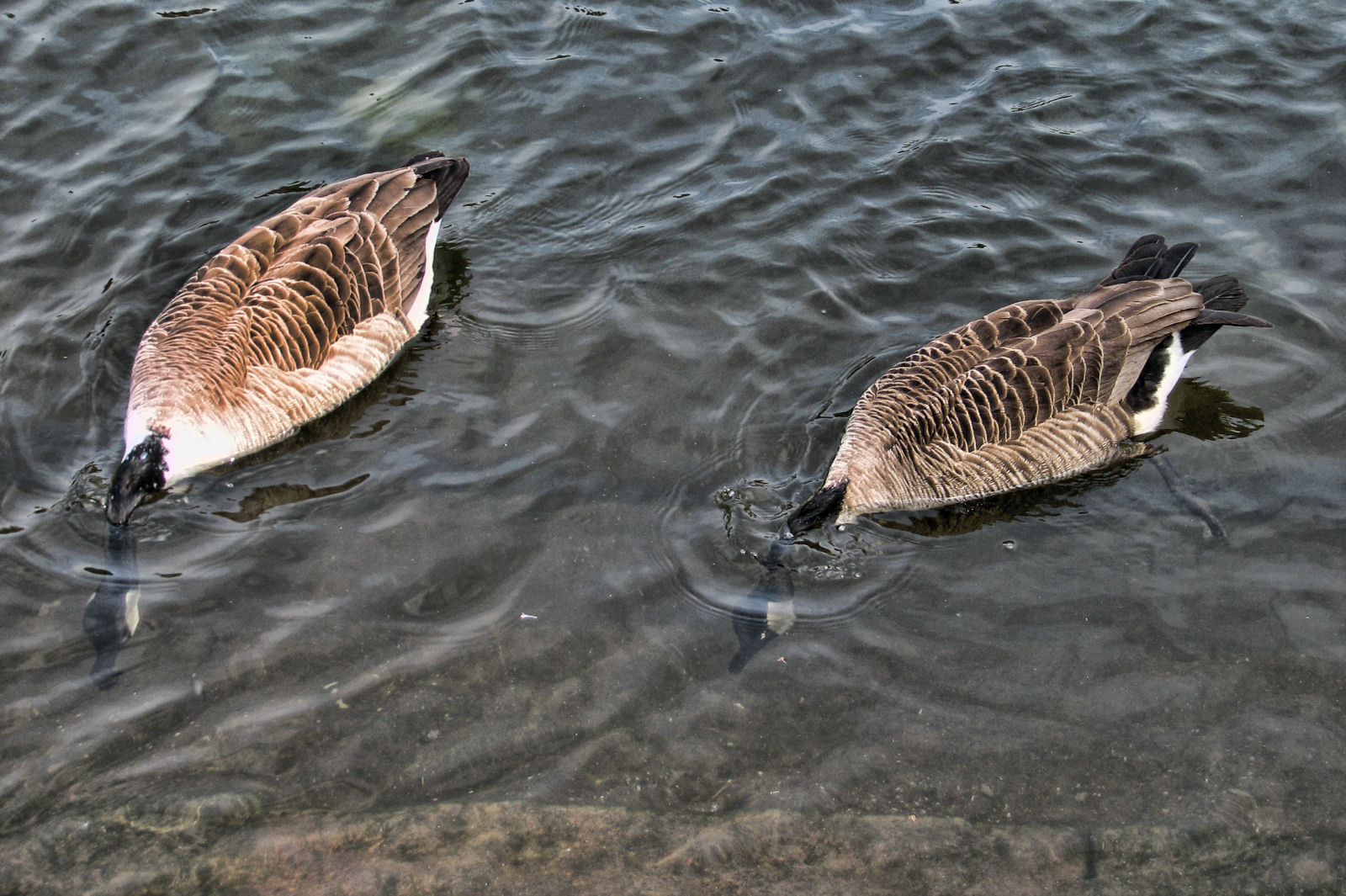 ruhr090512-2-019.jpg