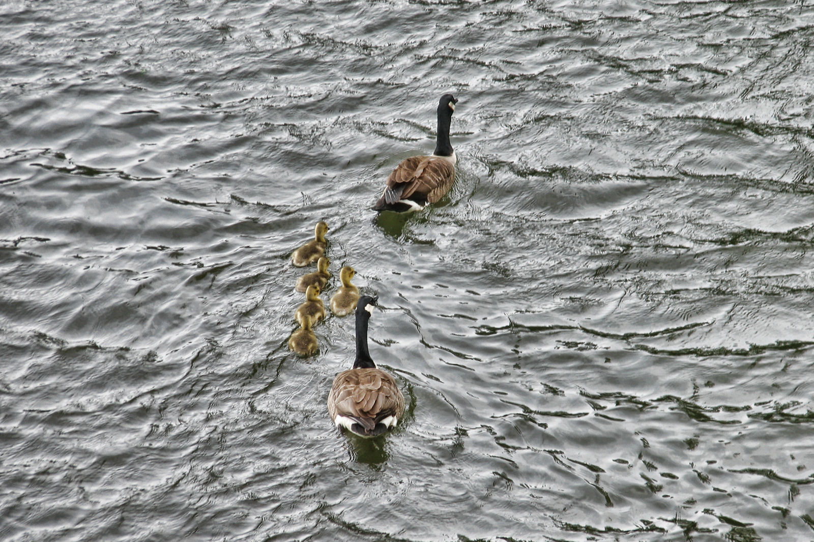 ruhr090512-2-034.jpg