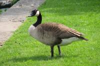 ruhr090512-13.jpg