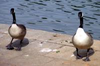 ruhr090512-19.jpg