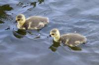 ruhr090512-31.jpg
