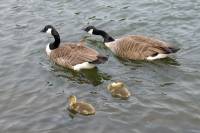 ruhr090512-32.jpg