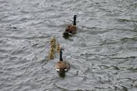 ruhr090512-57.jpg
