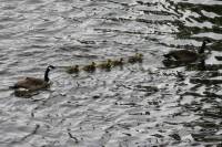 ruhr090512-59.jpg