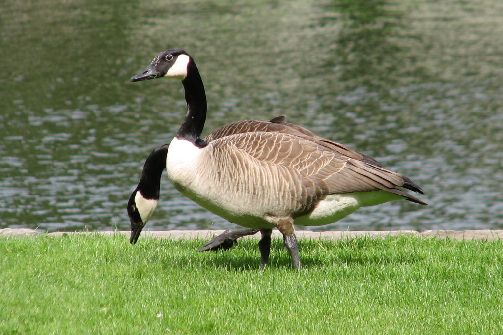 ruhr090512-10.jpg