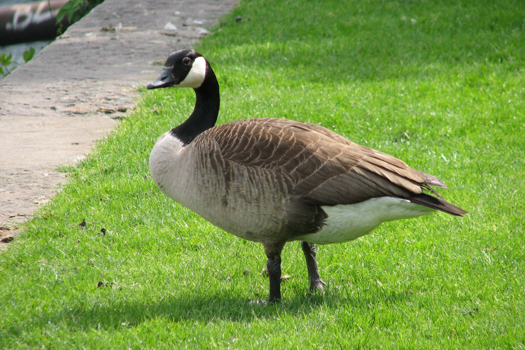 ruhr090512-13.jpg