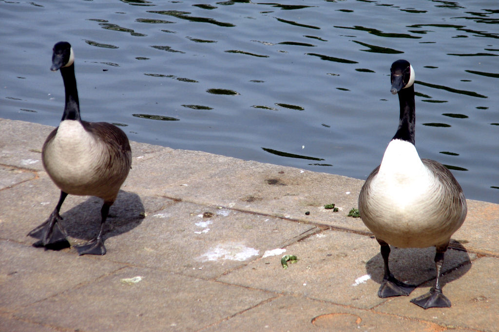 ruhr090512-19.jpg