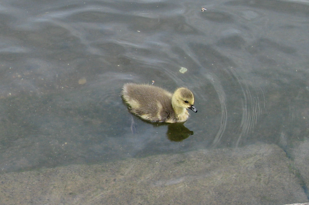 ruhr090512-30.jpg