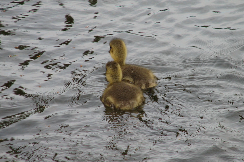ruhr090512-34.jpg